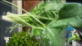 Taarak Mehta Ka Ooltah Chashmah - 16th October 2025